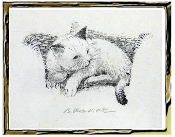 Bernhard Oberdieck